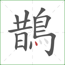 鵲的笔顺第17画:点 鵲的笔顺第17画:点