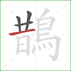 鵲的笔顺第4画:横 鵲的笔顺第4画:横