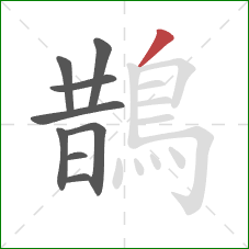 鵲的笔顺第9画:撇 鵲的笔顺第9画:撇