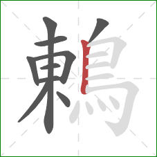 鶇的笔顺第10画：竖