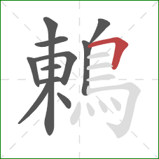 鶇的笔顺第11画：横折