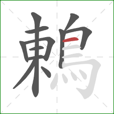 鶇的笔顺第12画：横