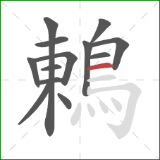 鶇的笔顺第13画：横