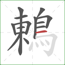 鶇的笔顺第14画：横