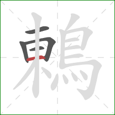鶇的笔顺第5画：横
