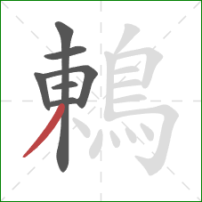 鶇的笔顺第7画：撇