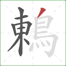 鶇的笔顺第9画：撇