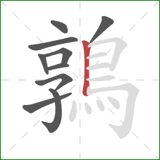 鶉的笔顺第10画:竖 鶉的笔顺第10画:竖