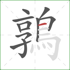 鶉的笔顺第12画:横 鶉的笔顺第12画:横