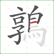 鶉的笔顺第13画:横 鶉的笔顺第13画:横