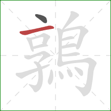 鶉的笔顺第2画:横 鶉的笔顺第2画:横
