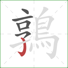 鶉的笔顺第7画:竖钩 鶉的笔顺第7画:竖钩