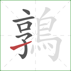 鶉的笔顺第8画:提 鶉的笔顺第8画:提
