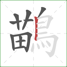 鶓的笔顺第11画:竖 鶓的笔顺第11画:竖