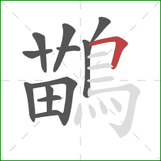 鶓的笔顺第12画:横折 鶓的笔顺第12画:横折