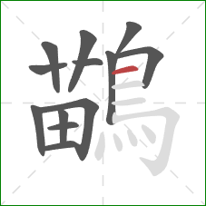 鶓的笔顺第13画:横 鶓的笔顺第13画:横
