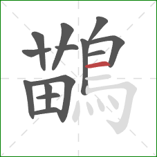 鶓的笔顺第14画:横 鶓的笔顺第14画:横