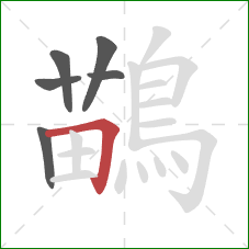 鶓的笔顺第6画:横折 鶓的笔顺第6画:横折