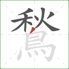 鶖的笔顺第10画：撇