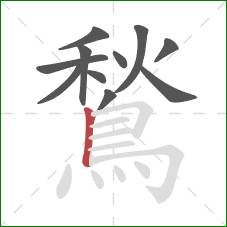 鶖的笔顺第11画：竖