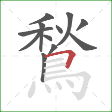 鶖的笔顺第12画：横折