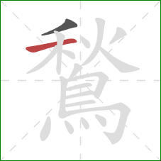 鶖的笔顺第2画：横