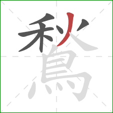 鶖的笔顺第8画：撇