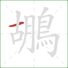 鶘的笔顺第1画:横 鶘的笔顺第1画:横