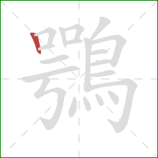 鶚的笔顺第1画:竖 鶚的笔顺第1画:竖