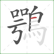 鶚的笔顺第13画:横 鶚的笔顺第13画:横