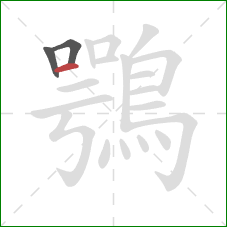 鶚的笔顺第3画:横 鶚的笔顺第3画:横