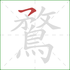 鶩的笔顺第1画：横撇/横钩