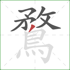 鶩的笔顺第10画：撇