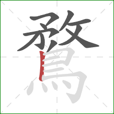 鶩的笔顺第11画：竖