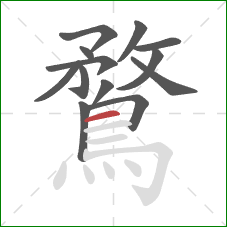 鶩的笔顺第13画：横