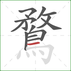 鶩的笔顺第15画：横