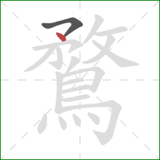 鶩的笔顺第2画：点