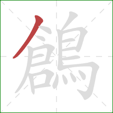 鶬的笔顺第1画：撇