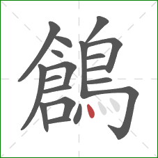 鶬的笔顺第19画：点