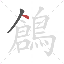 鶬的笔顺第2画：点