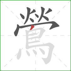 鶯的笔顺第11画：撇