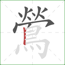 鶯的笔顺第12画：竖