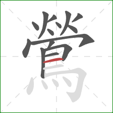 鶯的笔顺第15画：横