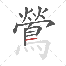 鶯的笔顺第16画：横