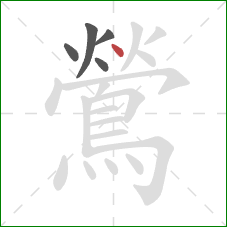 鶯的笔顺第5画：点