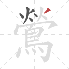 鶯的笔顺第6画：撇