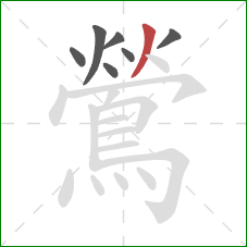 鶯的笔顺第7画：撇
