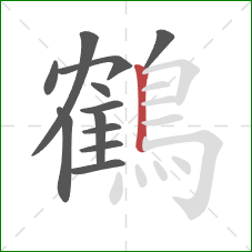 鶴的笔顺第12画：竖