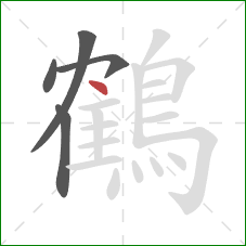 鶴的笔顺第5画：点