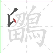 鶹的笔顺第3画：点